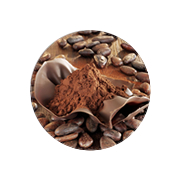 Cocoa y Chocolate
